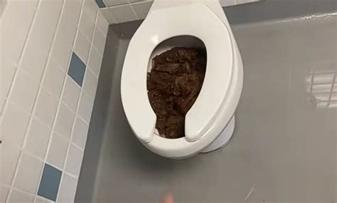 shit porn